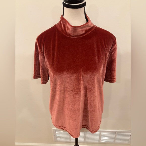 Madewell Women’s Burnished Rust Velvet Mockneck Tee, size L - Picture 6 of 13